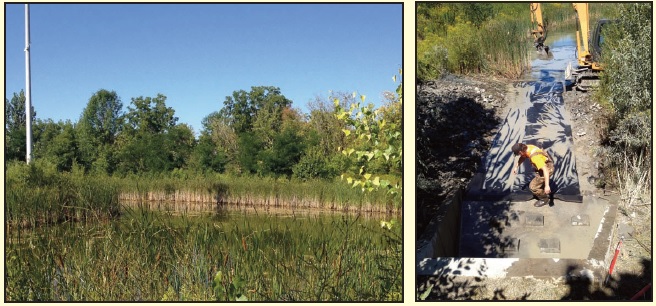 Outfall-Cleaning